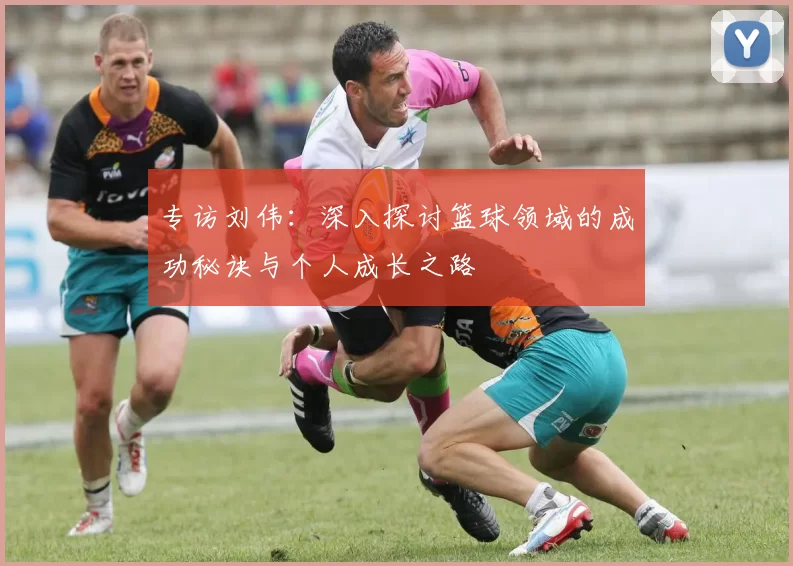 专访刘伟：深入探讨篮球领域的成功秘诀与个人成长之路