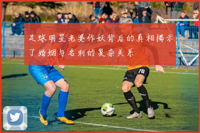足球明星老婆作妖背后的真相揭示了婚姻与名利的复杂关系