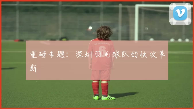 重磅专题：深圳羽毛球队的快攻革新