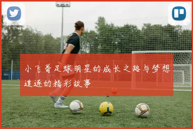 小飞哥足球明星的成长之路与梦想追逐的精彩故事