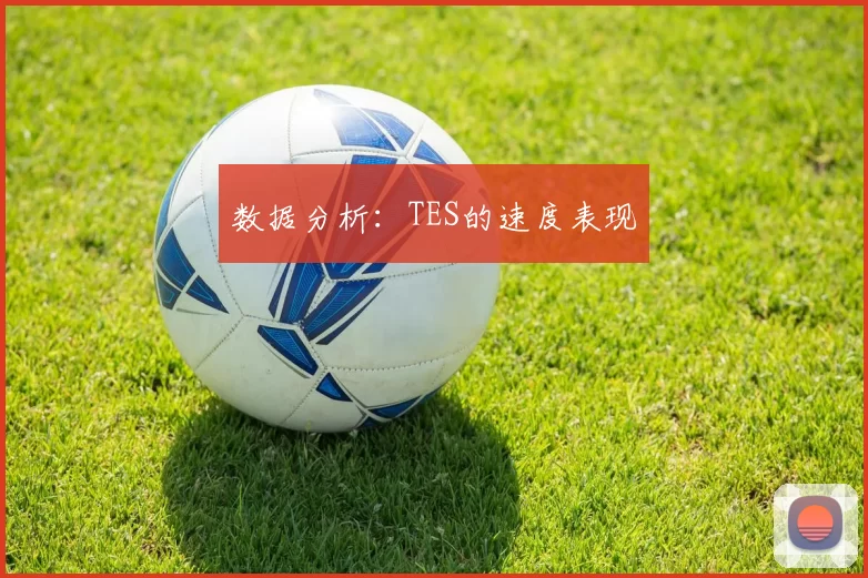 数据分析：TES的速度表现