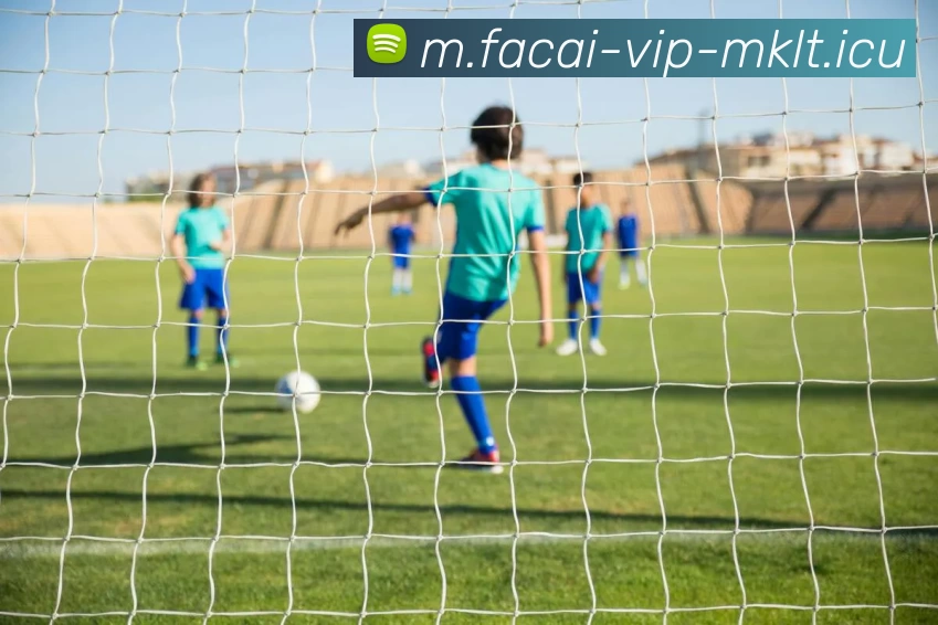 乐鱼体育发展历程